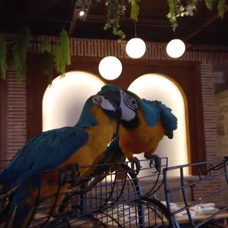 Nano Bio Food Farm Dais-Barbas