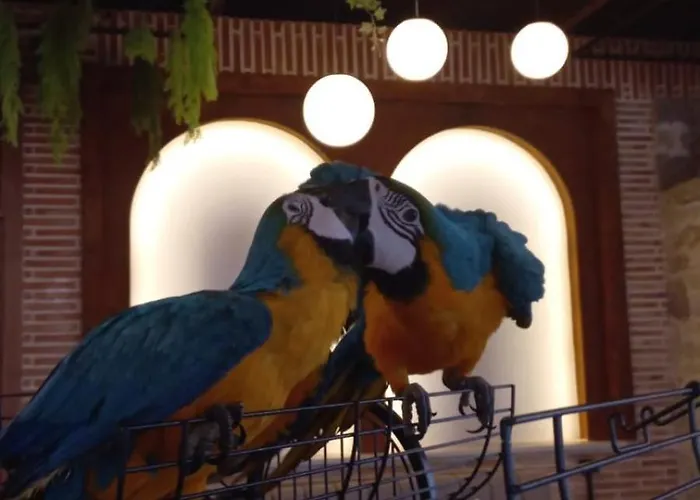 Nano Bio Food Farm Dais-Barbas